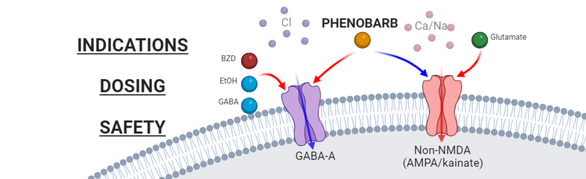 How to Use Phenobarbital for Treatment of Alcohol Withdrawal Syndrome